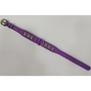 Collar morado con tachuelas 17mmx25cm