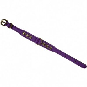 Collar morado con tachuelas 17mmx25cm