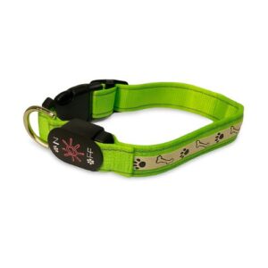 Collar verde fluor con luz
