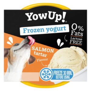 Yogur helado de tartar de salmón 110g