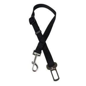 Cinturón de seguridad para perro