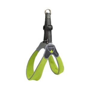 Arnés Coralpina verde T5