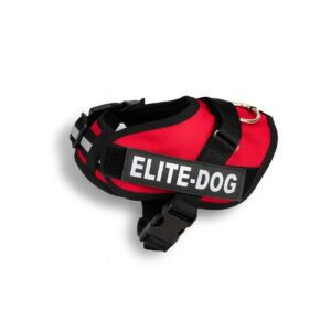 Arnés rojo Elite-Dog