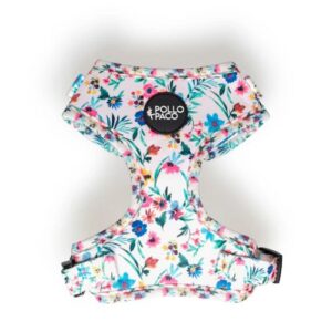 Arnés floral XS Pollo y Paco