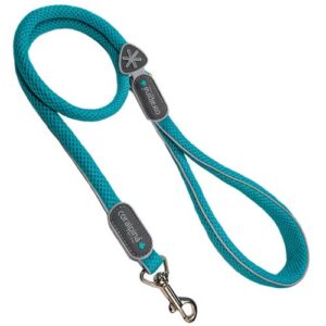 Correa Coralpina azul 60cm talla L