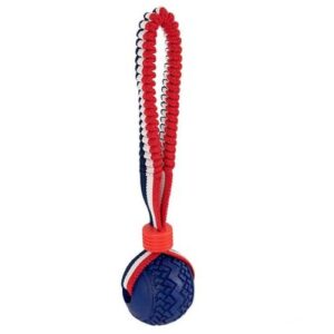 Juguete lanzador elástico con pelota 7x26cm