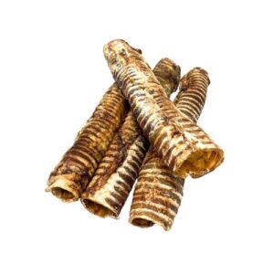 Tráquea de búfalo unidad