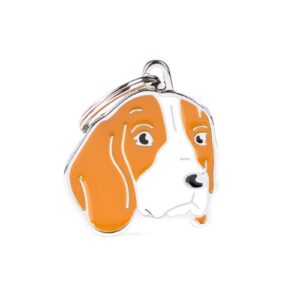 Chapa idetificativa Beagle