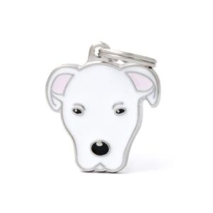 Chapa identificativa Dogo argentino