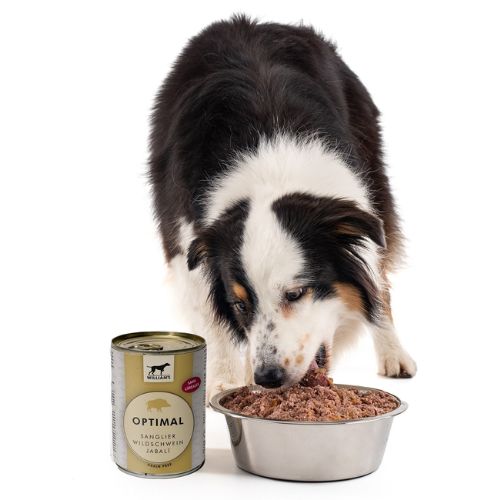 Lata para perro jabalí 200g - Imagen 2