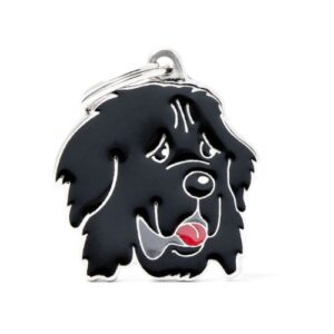 Chapa identificativa Terranova