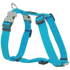 Arnés tipo H nylon azul 20mm