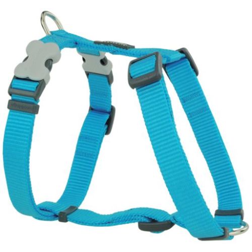 Arnés tipo H nylon azul 20mm