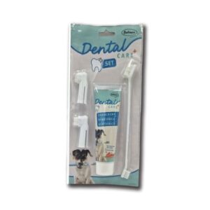 Kit dental