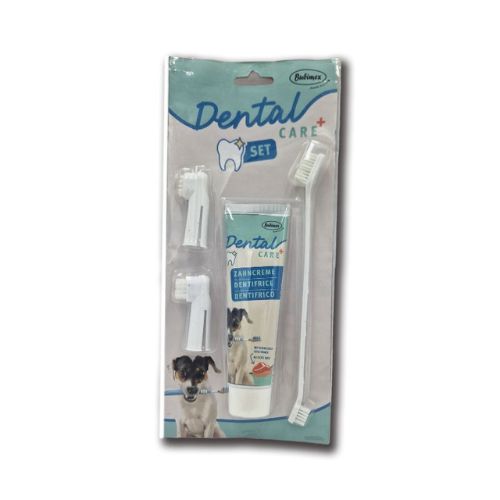 Kit dental