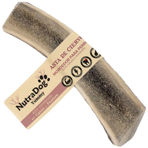 Media asta de ciervo M