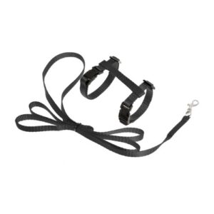 Arnés Kitten con correa negro 10mmx120cm