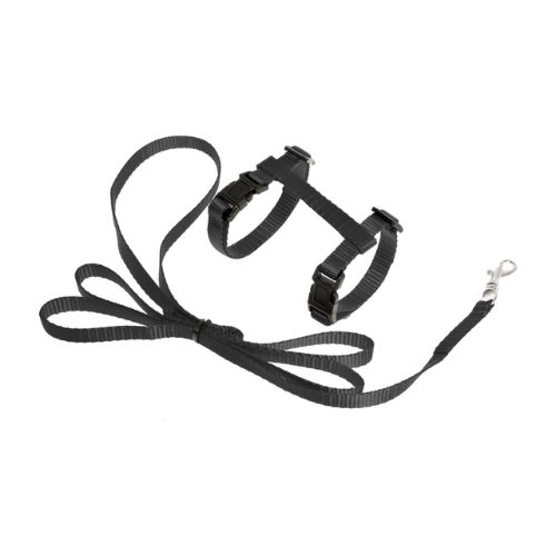 Arnés gatito con correa negro 10mmx120cm