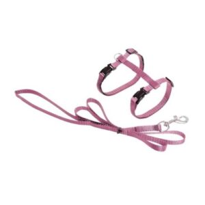 Arnés con correa rosa Art Sportiv plus 10mmx110cm